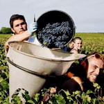 �����٫@�M��| 2015���M�־����Ĳ����������