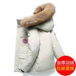 ���ô��Zͬ����H��q��3ɫ�����~ȯ��149���]��ʡ500��