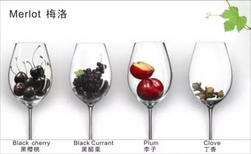 她,喝過的人都會喜歡的葡萄酒