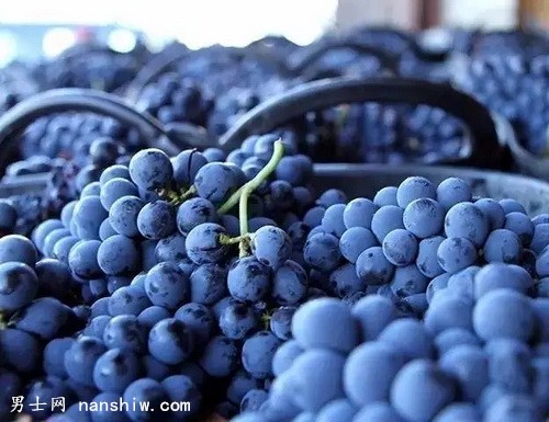 ���x�f�@�ɼt���Ѿ� 2011