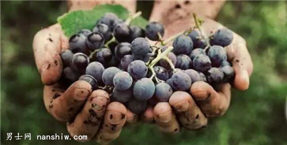 ��ʲô����Ҋ��17�ȵ����Ѿƣ�