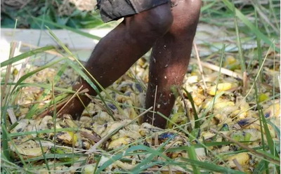 4�N�ؿ�ζ�ľ����o����ҺȆ���