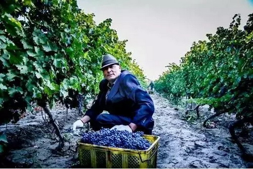 �Ⱦƿ��Y(ji��)����(l��i)��10�l�������@Щ��֪������