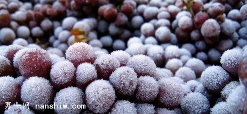 ʲô�Ǳ�������ʲô�u(m��i)���@ô�F��